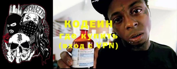 PSILOCYBIN Майский