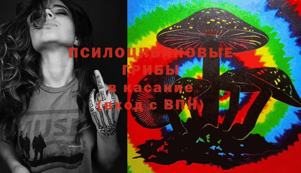 spice Медногорск