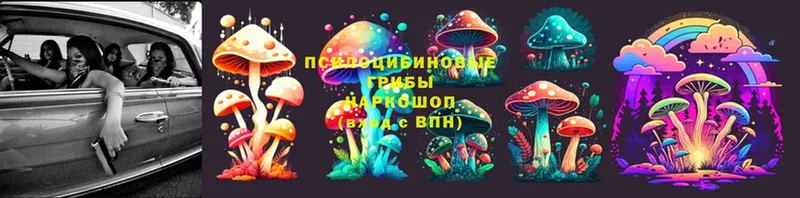 Галлюциногенные грибы Magic Shrooms  Калтан 