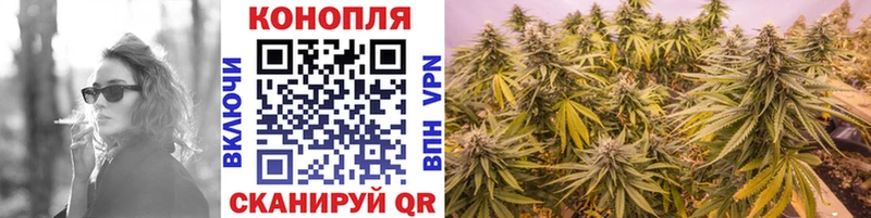 Конопля Amnesia купить наркотики сайты Калтан